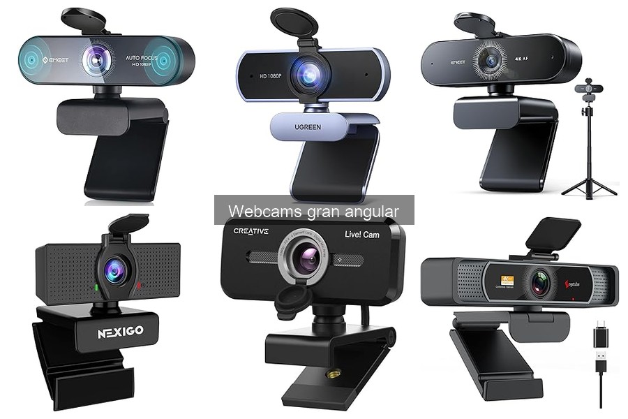 Alternativas a las Webcams Gran Angular para Teletrabajo