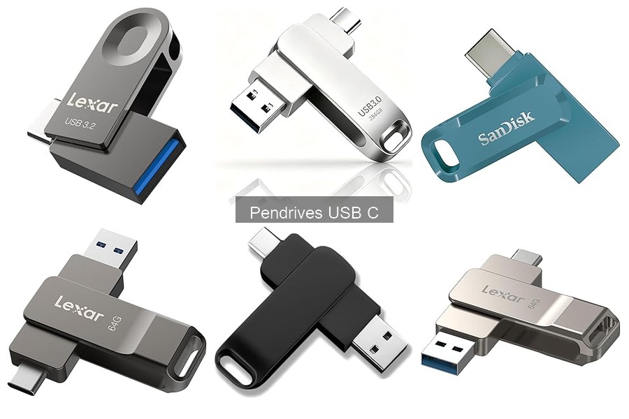 ¿Cómo asegurar tus datos en un pendrive USB C?