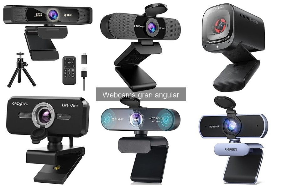 Cómo elegir la mejor webcam gran angular para teletrabajo
