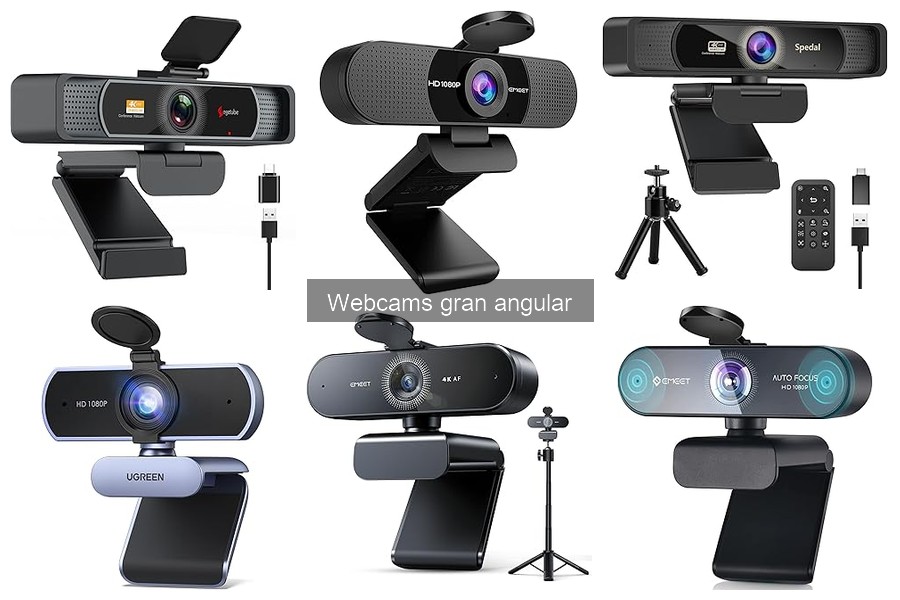 Tendencias Futuras en Webcams Gran Angular para 2024
